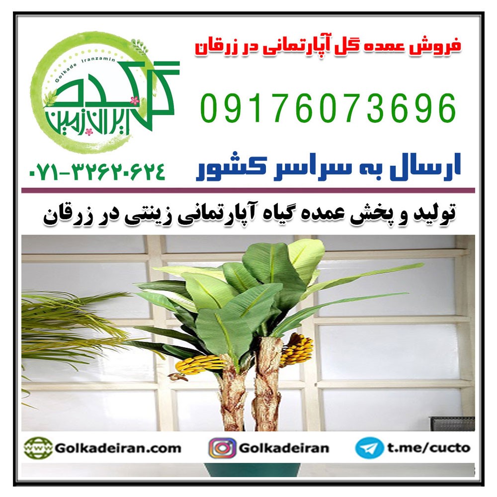 فروش پخش عمده گل آپارتمانی زینتی در زرقان 09176073696