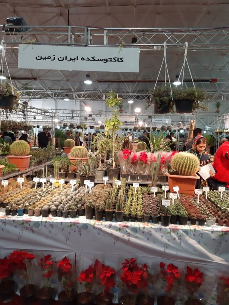 پانزدهیمن نمایشگاه بین المللی گل و گیاه شیراز
